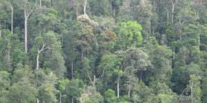 The 28th CSF Anniversary